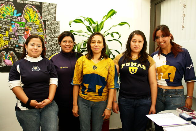 Se privilegia el trabajo en equipo